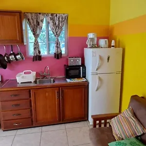 Fish Tobago Or Joy And Brandon Guest house